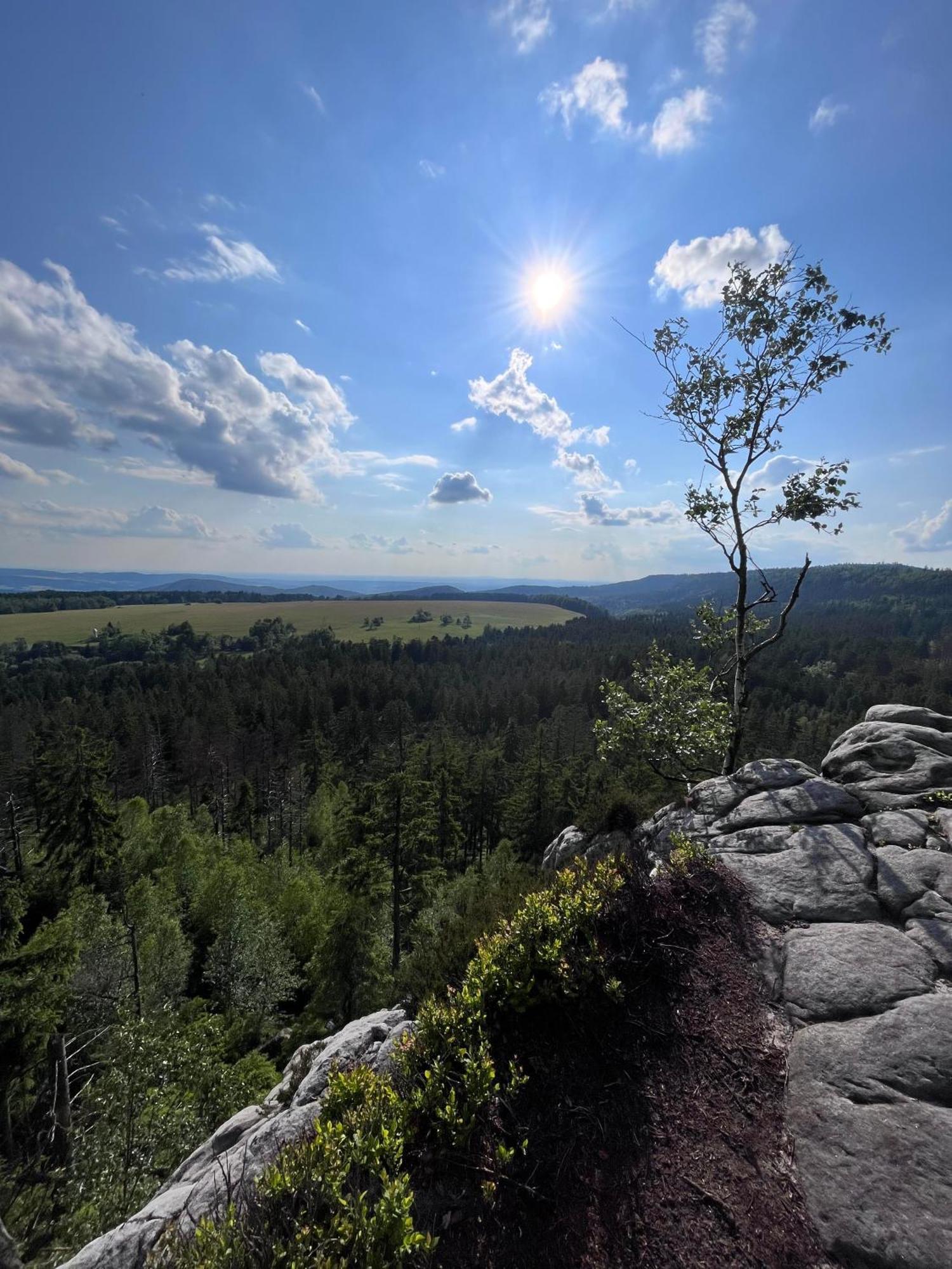 Appartamento Carpe Diem Duszniki Zdrój Esterno foto