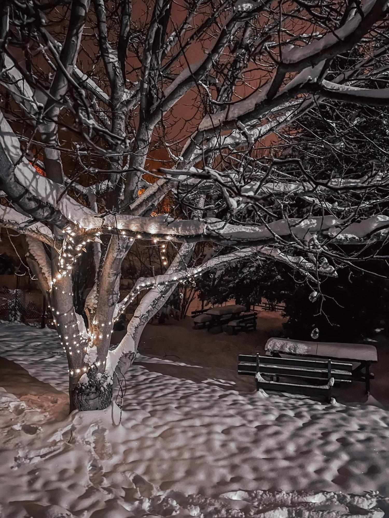 Appartamento Carpe Diem Duszniki Zdrój Esterno foto